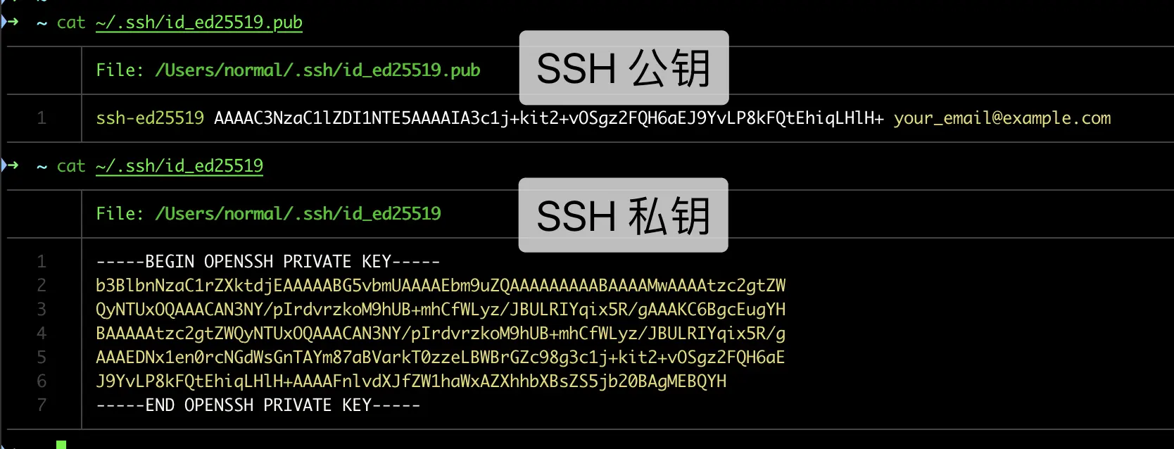 l89qf8wj.png
